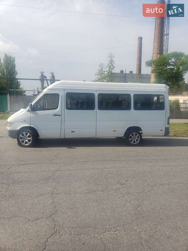 Микроавтобус Mercedes-Benz Sprinter 1997 в Запорожье