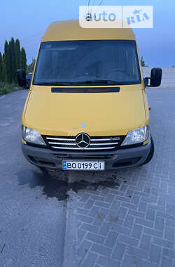 Грузопассажирский фургон Mercedes-Benz Sprinter 2005 в Кременце