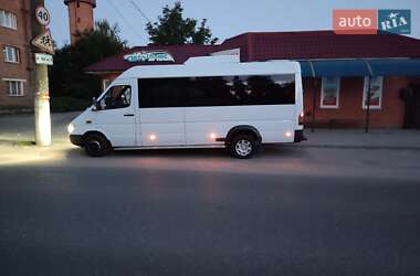 Мікроавтобус Mercedes-Benz Sprinter 2001 в Охтирці