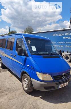 Микроавтобус Mercedes-Benz Sprinter 2005 в 