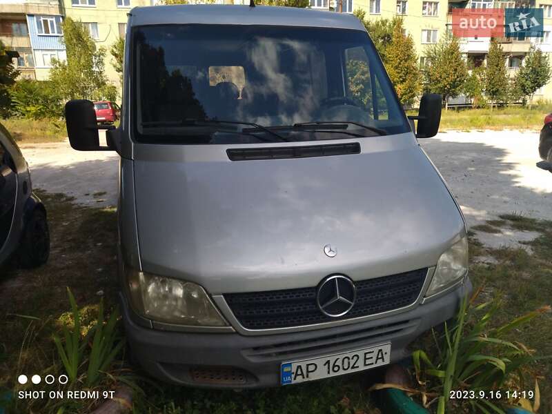 Микроавтобус Mercedes-Benz Sprinter 2005 в Запорожье