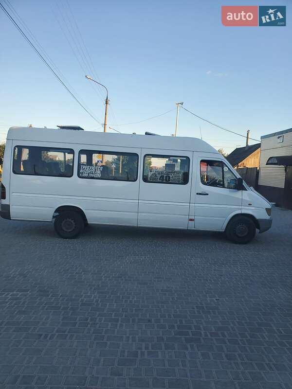 Микроавтобус Mercedes-Benz Sprinter 1999 в Запорожье