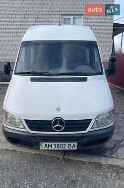 Микроавтобус Mercedes-Benz Sprinter 2004 в Житомире