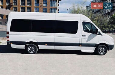 Микроавтобус Mercedes-Benz Sprinter 2010 в Кривом Роге