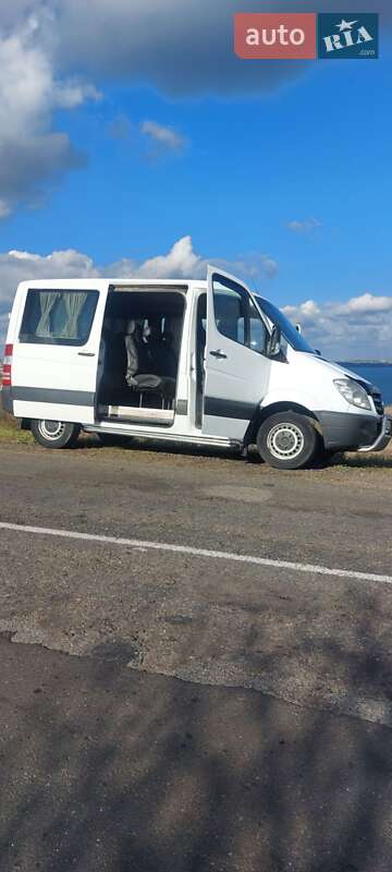 Микроавтобус Mercedes-Benz Sprinter 2007 в Николаеве
