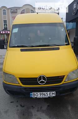 Микроавтобус Mercedes-Benz Sprinter 2004 в Кременце