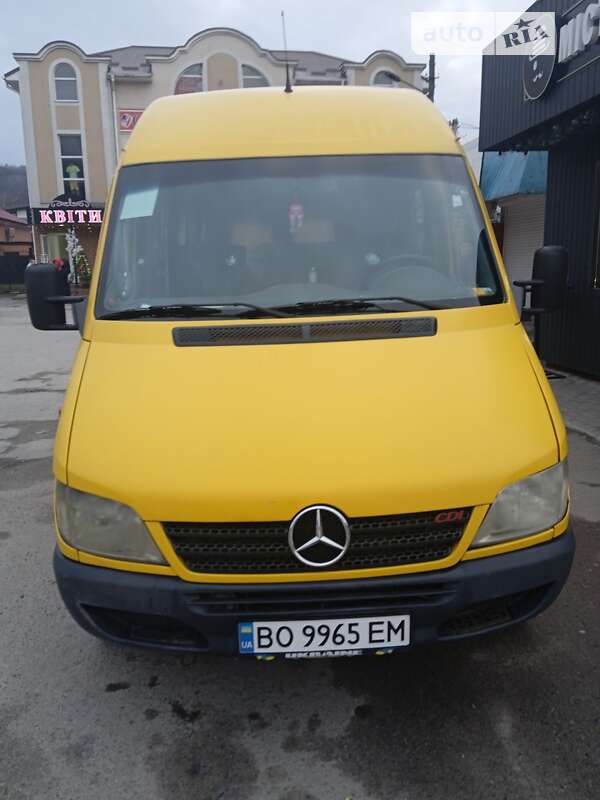 Мікроавтобус Mercedes-Benz Sprinter 2004 в Кременці