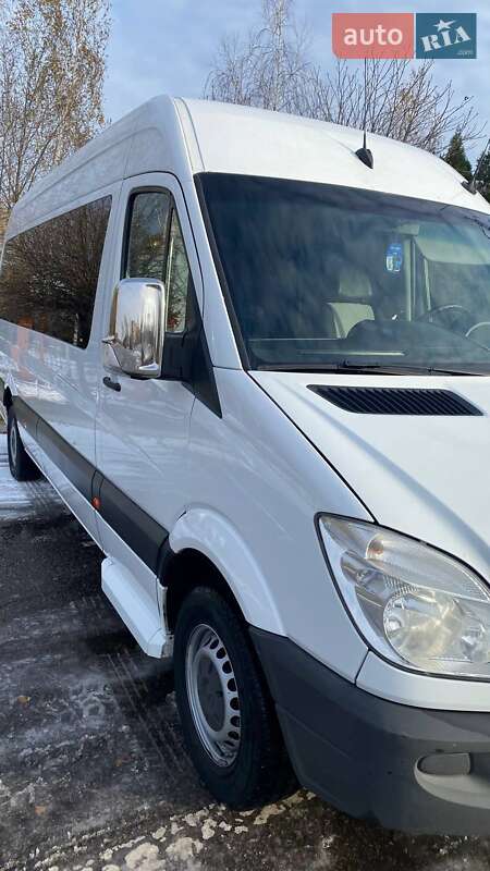 Микроавтобус Mercedes-Benz Sprinter 2010 в Кривом Роге фото 31 Микроавтобус Mercedes-Benz Sprinter 2010 в Кривом Роге