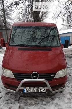 Микроавтобус Mercedes-Benz Sprinter 2004 в Новогродовке