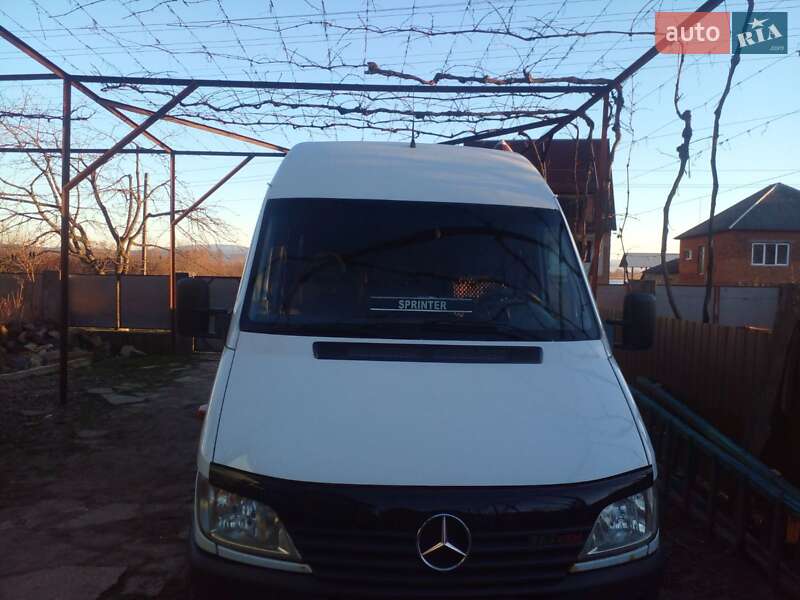 Микроавтобус Mercedes-Benz Sprinter 2002 в Ужгороде