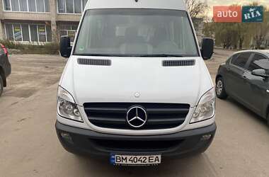 Мікроавтобус Mercedes-Benz Sprinter 2009 в Лебедині