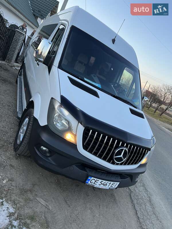 Микроавтобус Mercedes-Benz Sprinter 2017 в 