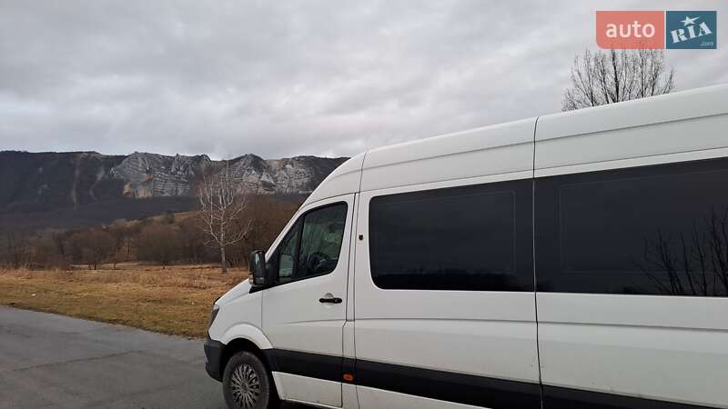 Микроавтобус Mercedes-Benz Sprinter 2015 в Ужгороде