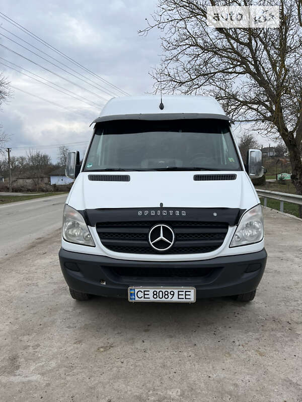 Грузопассажирский фургон Mercedes-Benz Sprinter 2008 в Новоднестровске