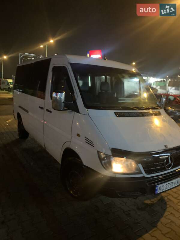 Микроавтобус Mercedes-Benz Sprinter 2006 в Хусте