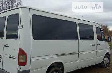 Микроавтобус Mercedes-Benz Sprinter 2001 в Рожнятове