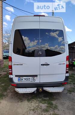 Мікроавтобус Mercedes-Benz Sprinter 2012 в Сарнах