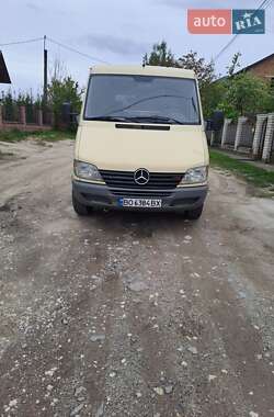 Микроавтобус Mercedes-Benz Sprinter 2001 в Тернополе