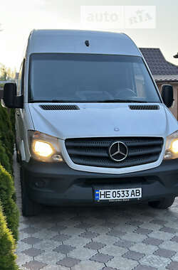 Вантажний фургон Mercedes-Benz Sprinter 2014 в Баштанці