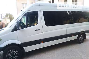 Мікроавтобус Mercedes-Benz Sprinter 2007 в Камені-Каширському