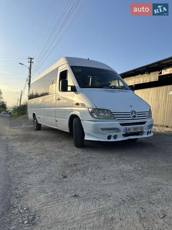 Мікроавтобус Mercedes-Benz Sprinter 2002 в Дніпрі