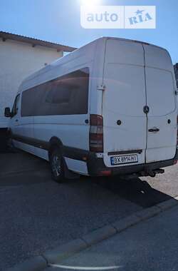 Мікроавтобус Mercedes-Benz Sprinter 2006 в Житомирі