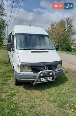 Микроавтобус Mercedes-Benz Sprinter 2000 в 