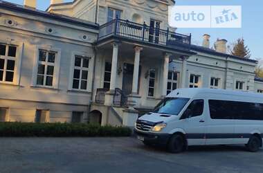 Микроавтобус Mercedes-Benz Sprinter 2012 в 