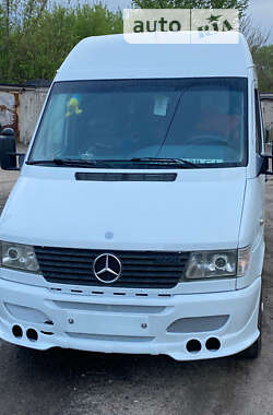 Микроавтобус Mercedes-Benz Sprinter 1996 в Кременчуге