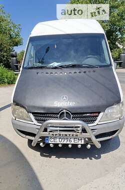 Мікроавтобус Mercedes-Benz Sprinter 2003 в Вижниці