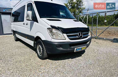 Микроавтобус Mercedes-Benz Sprinter 2007 в Иршаве