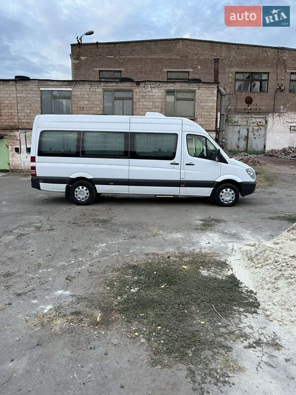 Микроавтобус Mercedes-Benz Sprinter 2013 в Кривом Роге