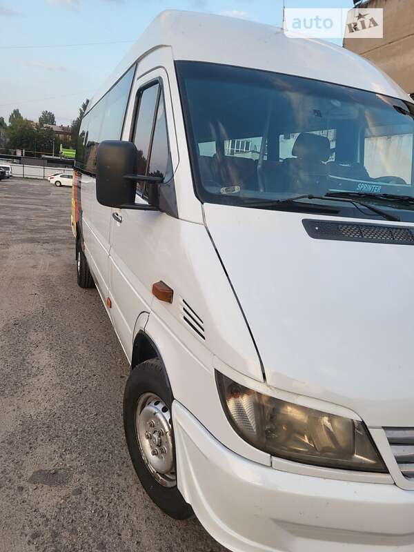 Микроавтобус Mercedes-Benz Sprinter 2006 в Запорожье