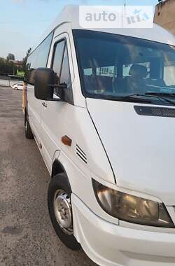 Микроавтобус Mercedes-Benz Sprinter 2006 в 