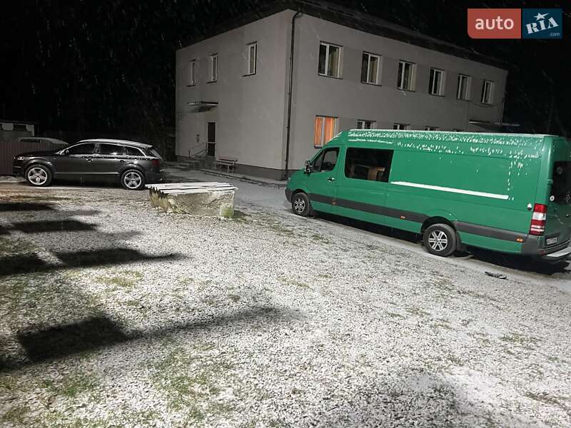 Микроавтобус Mercedes-Benz Sprinter 2010 в Тячеве