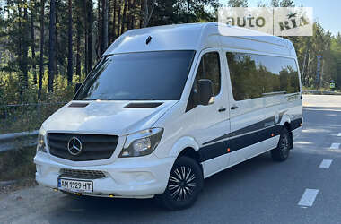 Мікроавтобус Mercedes-Benz Sprinter 2009 в Овручі