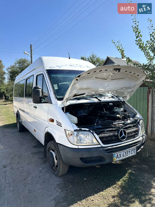 Туристический / Междугородний автобус Mercedes-Benz Sprinter 2005 в 