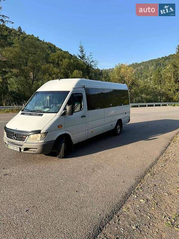 Микроавтобус Mercedes-Benz Sprinter 2006 в Ужгороде