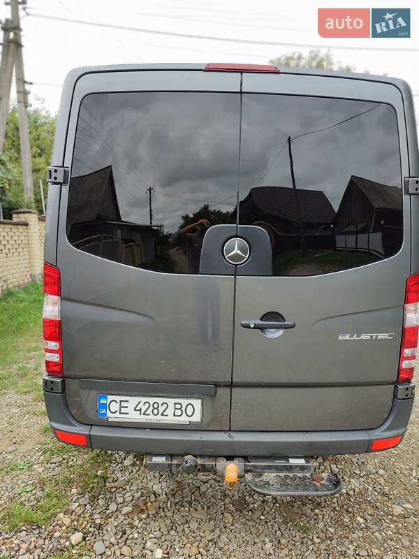 Микроавтобус Mercedes-Benz Sprinter 2014 в Черновцах