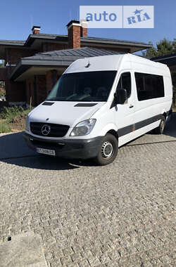 Микроавтобус Mercedes-Benz Sprinter 2009 в 
