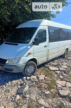 Мікроавтобус Mercedes-Benz Sprinter 2002 в Дніпрі