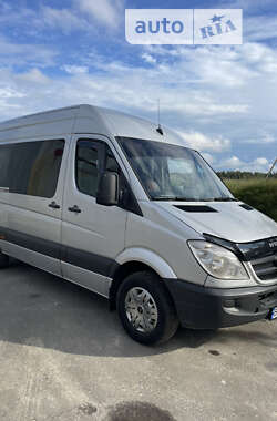 Микроавтобус Mercedes-Benz Sprinter 2007 в Березному