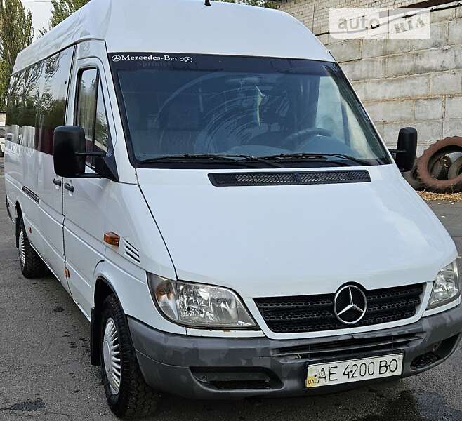 Городской автобус Mercedes-Benz Sprinter 2005 в Кривом Роге