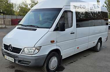 Городской автобус Mercedes-Benz Sprinter 2005 в Кривом Роге