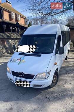 Микроавтобус Mercedes-Benz Sprinter 2000 в 