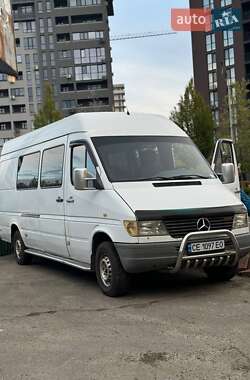 Грузопассажирский фургон Mercedes-Benz Sprinter 1999 в 