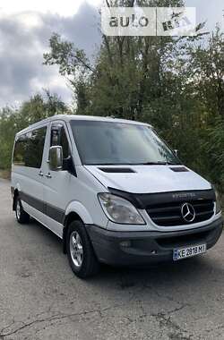 Мікроавтобус Mercedes-Benz Sprinter 2008 в Кривому Розі