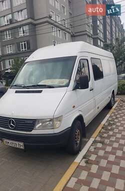 Вантажопасажирський фургон Mercedes-Benz Sprinter 1999 в Житомирі