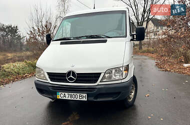 Микроавтобус Mercedes-Benz Sprinter 2006 в Олевске