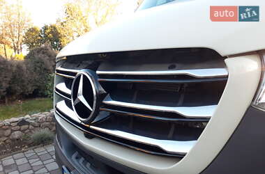 Микроавтобус Mercedes-Benz Sprinter 2020 в 
